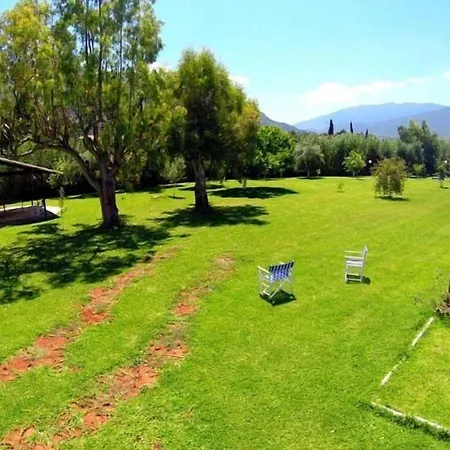 Hotel Sami Beach Hotel